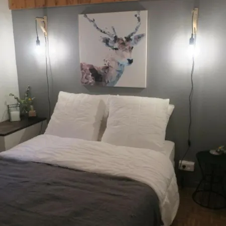 Appartamento Cocooning Pour 4 Avec Balcon Et Garage à - Fr-1-198-196 *
