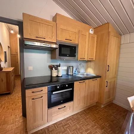 Cocooning Pour 4 Avec Balcon Et Garage à - Fr-1-198-196 Châtel